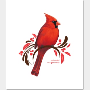 Male Cardinal Posters and Art